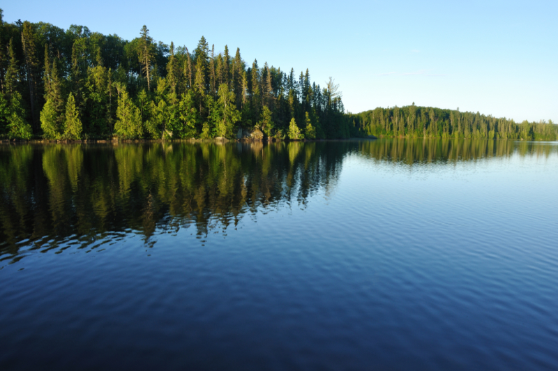 Lake with pine trees